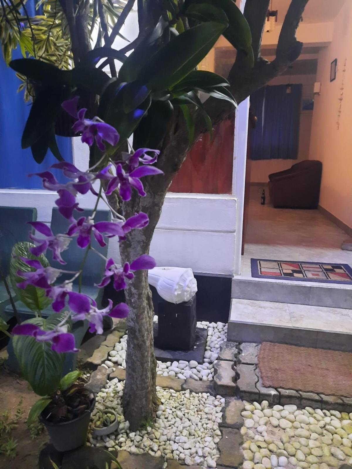 White Surfing Beach Resort Unawatuna Bagian luar foto