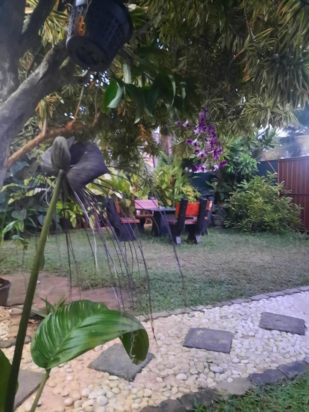 White Surfing Beach Resort Unawatuna Bagian luar foto